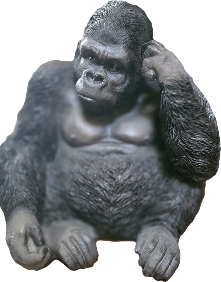 Gorilla