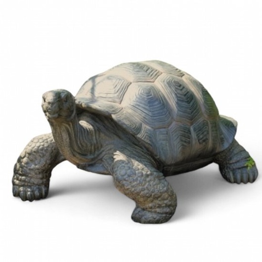Grosse Schildkröte