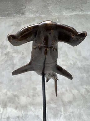 Hammerhai aus schwerer Bronze